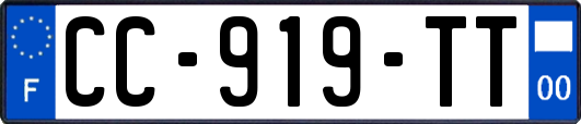 CC-919-TT