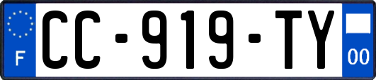 CC-919-TY