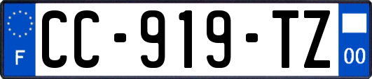 CC-919-TZ