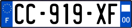 CC-919-XF