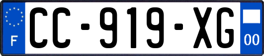CC-919-XG
