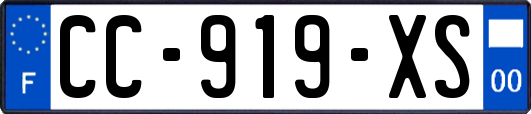 CC-919-XS