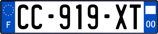 CC-919-XT
