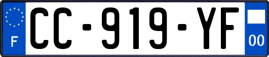 CC-919-YF