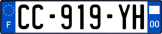 CC-919-YH