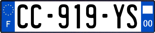 CC-919-YS
