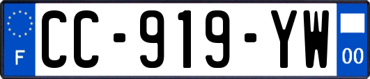 CC-919-YW