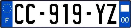 CC-919-YZ