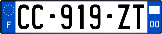 CC-919-ZT