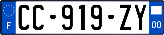 CC-919-ZY