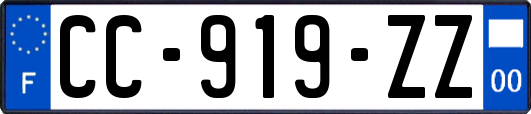 CC-919-ZZ