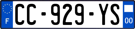 CC-929-YS