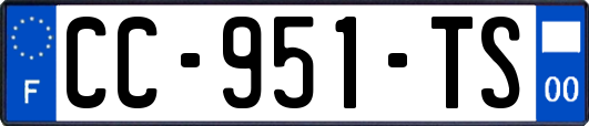 CC-951-TS