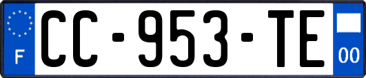 CC-953-TE