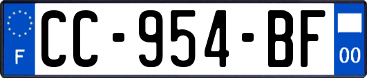 CC-954-BF