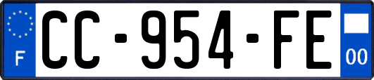 CC-954-FE