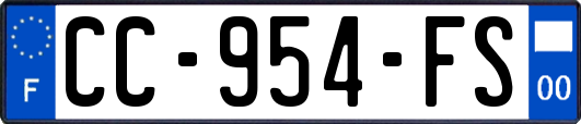 CC-954-FS