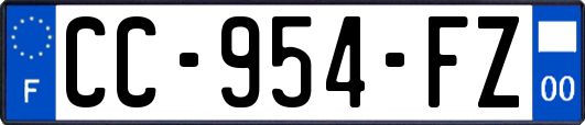 CC-954-FZ