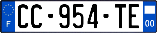 CC-954-TE