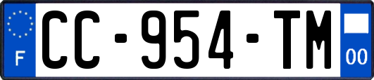 CC-954-TM