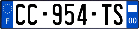 CC-954-TS