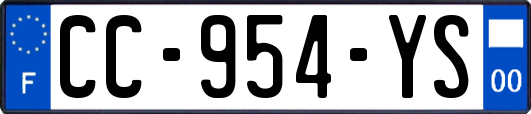 CC-954-YS