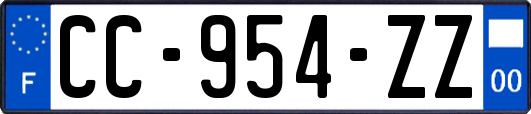 CC-954-ZZ