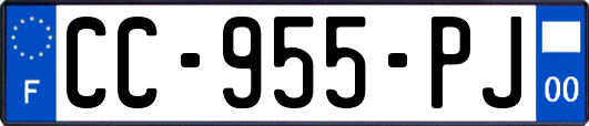 CC-955-PJ