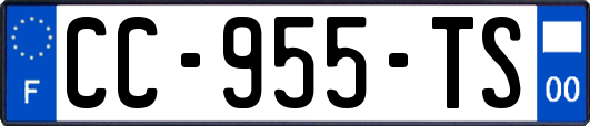 CC-955-TS