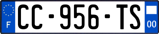 CC-956-TS