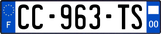 CC-963-TS