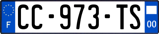 CC-973-TS