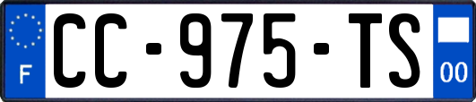CC-975-TS