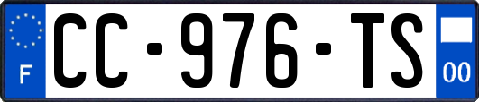 CC-976-TS