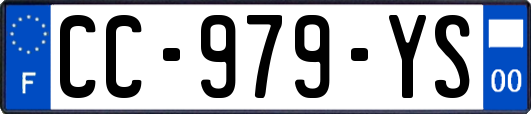 CC-979-YS
