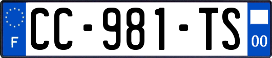 CC-981-TS