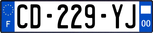 CD-229-YJ