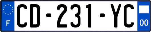 CD-231-YC