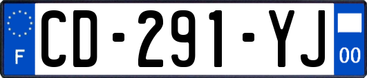 CD-291-YJ