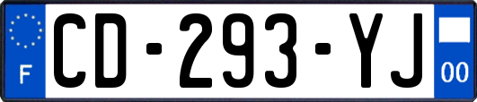 CD-293-YJ
