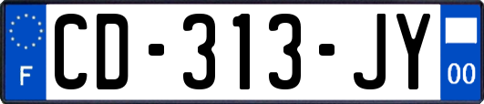 CD-313-JY