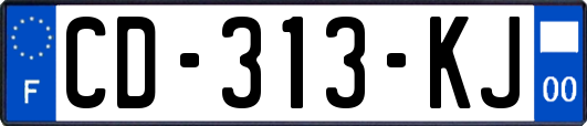 CD-313-KJ