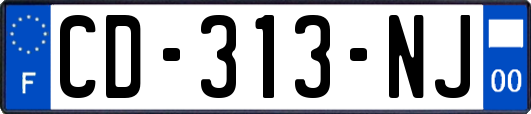 CD-313-NJ