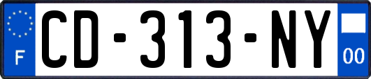 CD-313-NY