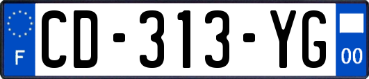 CD-313-YG