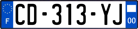 CD-313-YJ