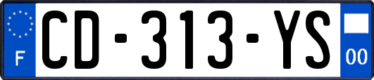 CD-313-YS