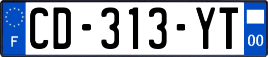CD-313-YT