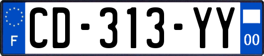 CD-313-YY