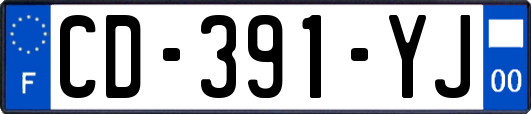 CD-391-YJ